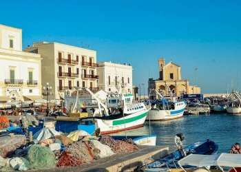 Foto 8 - Attività Commerciale via petrelli, Gallipoli - foto 8