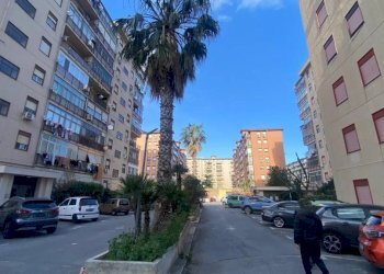 Zona - Quadrilocale via Emilio Salgari, Palermo - foto 11