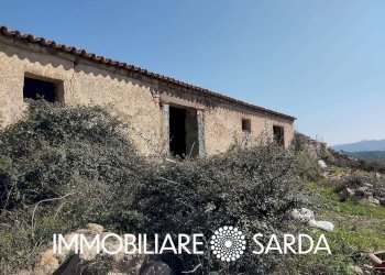 Foto 7 - Rustico Montilongu, Trinità d'Agultu e Vignola - foto 7