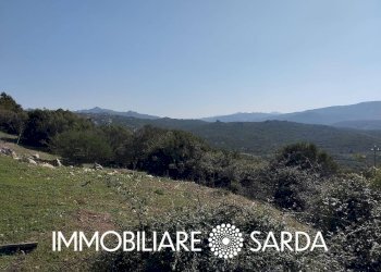 Foto 16 - Rustico Montilongu, Trinità d'Agultu e Vignola - foto 16