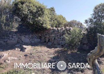 Foto 17 - Rustico Montilongu, Trinità d'Agultu e Vignola - foto 17