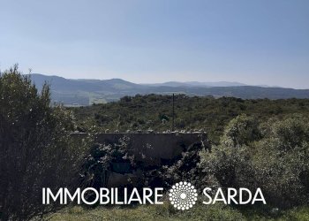 Foto 18 - Rustico Montilongu, Trinità d'Agultu e Vignola - foto 18