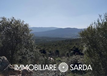 Foto 19 - Rustico Montilongu, Trinità d'Agultu e Vignola - foto 19