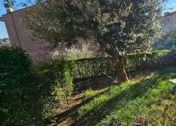 20260225_155822 - Appartamento Polverigi - foto 4