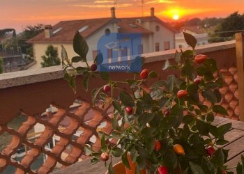 Foto 1 - Attico via dei platani, Ardea - foto 1