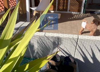 Foto 3 - Attico via dei platani, Ardea - foto 3