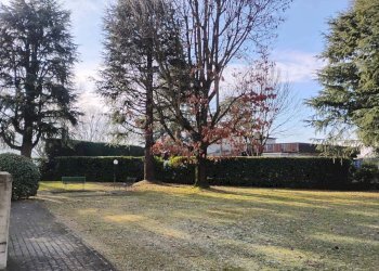 Giardino - Appartamento via Pavarolo, 9, Torino - foto 17