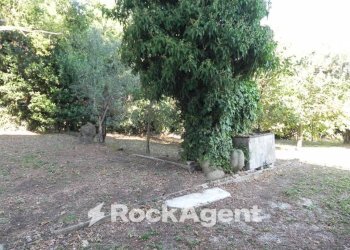 Terreno - Rustico Frazione Montale, 136, Arcevia - foto 25