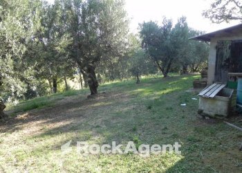 Terreno - Rustico Frazione Montale, 136, Arcevia - foto 31