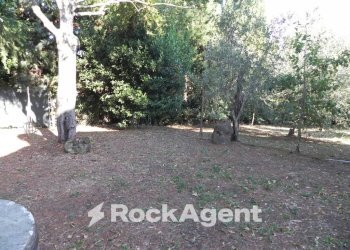 Giardino - Rustico Frazione Montale, 136, Arcevia - foto 32