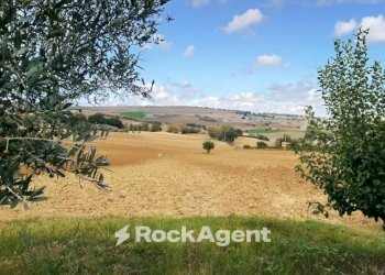 Terreno - Rustico Frazione Montale, 136, Arcevia - foto 33