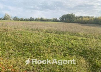 Terreno agricolo via Zappati, Sala Baganza - foto 3