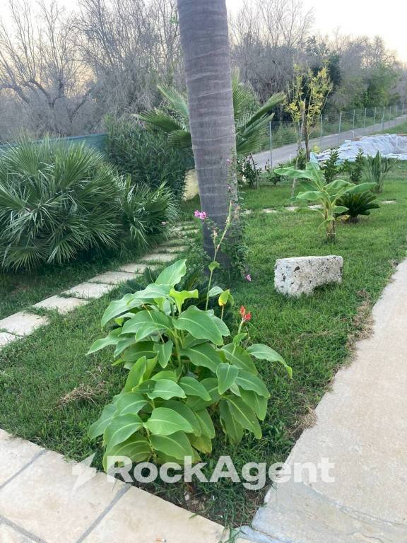 Villa S.P. Supersano/Scorrano - Contrada Montinati, Supersano - foto 3