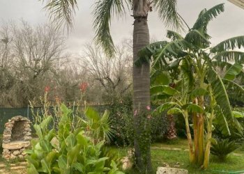 Villa S.P. Supersano/Scorrano - Contrada Montinati, Supersano - foto 2