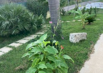 Villa S.P. Supersano/Scorrano - Contrada Montinati, Supersano - foto 3