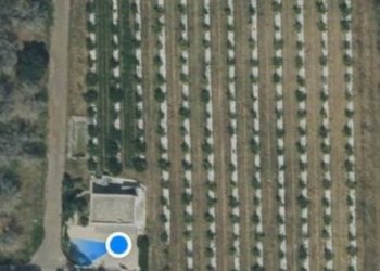 Villa S.P. Supersano/Scorrano - Contrada Montinati, Supersano - foto 7