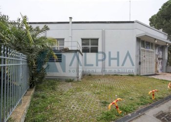 Giardino - Negozio via Madonna delle Rose, Cesena - foto 33