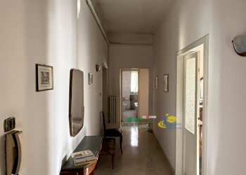 IMG_5160.jpg - Appartamento Via Nicolò dell'Abate 30, Modena (zona Circoscrizione 1) - foto 6