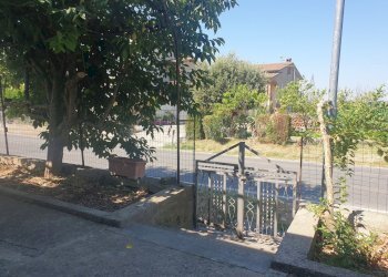 20220725_103126.jpg - Porzione di casa Via Campo della Fiera 60, Alviano - foto 12