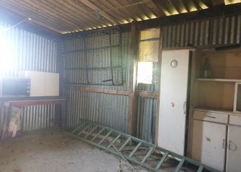 20220725_103143.jpg - Porzione di casa Via Campo della Fiera 60, Alviano - foto 13