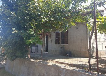 20220725_103251.jpg - Porzione di casa Via Campo della Fiera 60, Alviano - foto 18