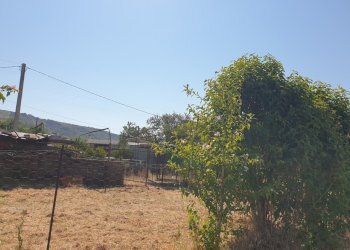 20220725_103304.jpg - Porzione di casa Via Campo della Fiera 60, Alviano - foto 20