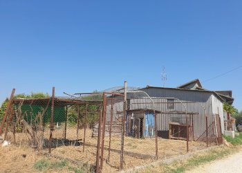 20220725_103336.jpg - Porzione di casa Via Campo della Fiera 60, Alviano - foto 25