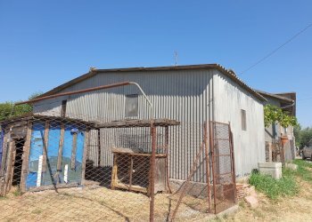 20220725_103343.jpg - Porzione di casa Via Campo della Fiera 60, Alviano - foto 26