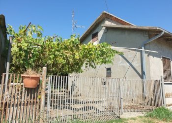 20220725_103359.jpg - Porzione di casa Via Campo della Fiera 60, Alviano - foto 28