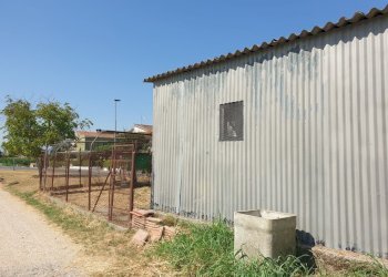 20220725_103403.jpg - Porzione di casa Via Campo della Fiera 60, Alviano - foto 30