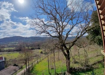 03c96ae4-6a38-4a08-a1b3-b7d1903a0908.jpg - Portion of a house Vocabolo molino 137, Montecastrilli - photo 3