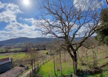 145dbe70-5cb8-4aab-adcb-c84f897c91c2.jpg - Portion of a house Vocabolo molino 137, Montecastrilli - photo 10