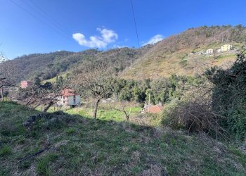 WhatsApp Image 2026-02-26 at 12.37.17 (7).jpeg - Appartamento Via Angelo Grilli 120, Borzonasca - foto 22