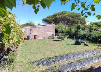 IMG_20251008_121424.jpg - Casa indipendente Via Mentana 9, Nettuno - foto 23