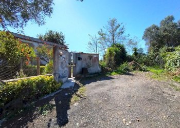 IMG_20251008_122341.jpg - Casa indipendente Via Mentana 9, Nettuno - foto 17