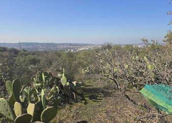 8.jpg - Terreno edificabile Via Gran Bretagna, Camporotondo Etneo - foto 8