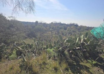 9.jpg - Terreno edificabile Via Gran Bretagna, Camporotondo Etneo - foto 9