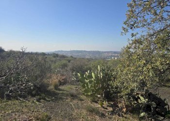 10.jpg - Terreno edificabile Via Gran Bretagna, Camporotondo Etneo - foto 10