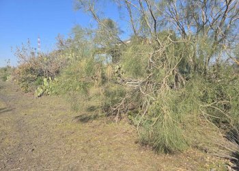 11.jpg - Terreno edificabile Via Gran Bretagna, Camporotondo Etneo - foto 11