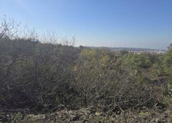 13.jpg - Terreno edificabile Via Gran Bretagna, Camporotondo Etneo - foto 13