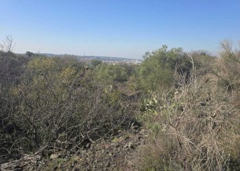 14.jpg - Terreno edificabile Via Gran Bretagna, Camporotondo Etneo - foto 14