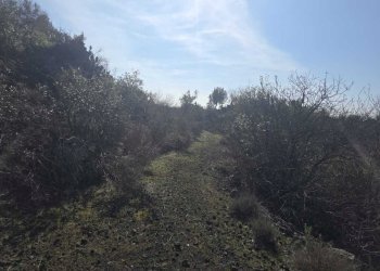 15.jpg - Terreno edificabile Via Gran Bretagna, Camporotondo Etneo - foto 15