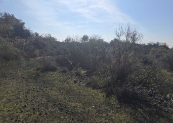 16.jpg - Terreno edificabile Via Gran Bretagna, Camporotondo Etneo - foto 16