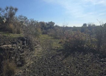 17.jpg - Terreno edificabile Via Gran Bretagna, Camporotondo Etneo - foto 17