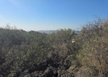 18.jpg - Terreno edificabile Via Gran Bretagna, Camporotondo Etneo - foto 18