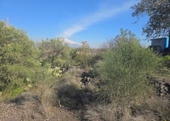 19.jpg - Terreno edificabile Via Gran Bretagna, Camporotondo Etneo - foto 19