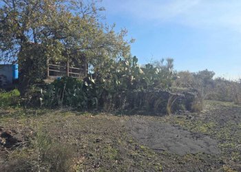 20.jpg - Terreno edificabile Via Gran Bretagna, Camporotondo Etneo - foto 20