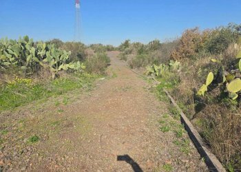 22.jpg - Terreno edificabile Via Gran Bretagna, Camporotondo Etneo - foto 22