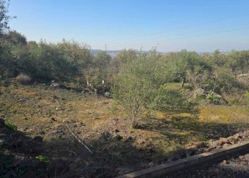 23.jpg - Terreno edificabile Via Gran Bretagna, Camporotondo Etneo - foto 23