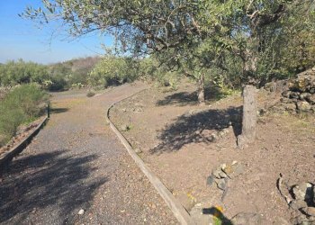 24.jpg - Terreno edificabile Via Gran Bretagna, Camporotondo Etneo - foto 24